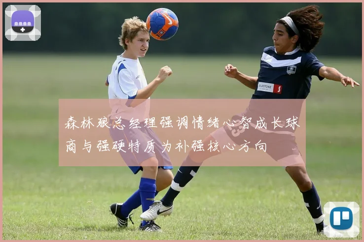 森林狼总经理强调情绪心智成长球商与强硬特质为补强核心方向